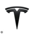 Tesla Badge Cover